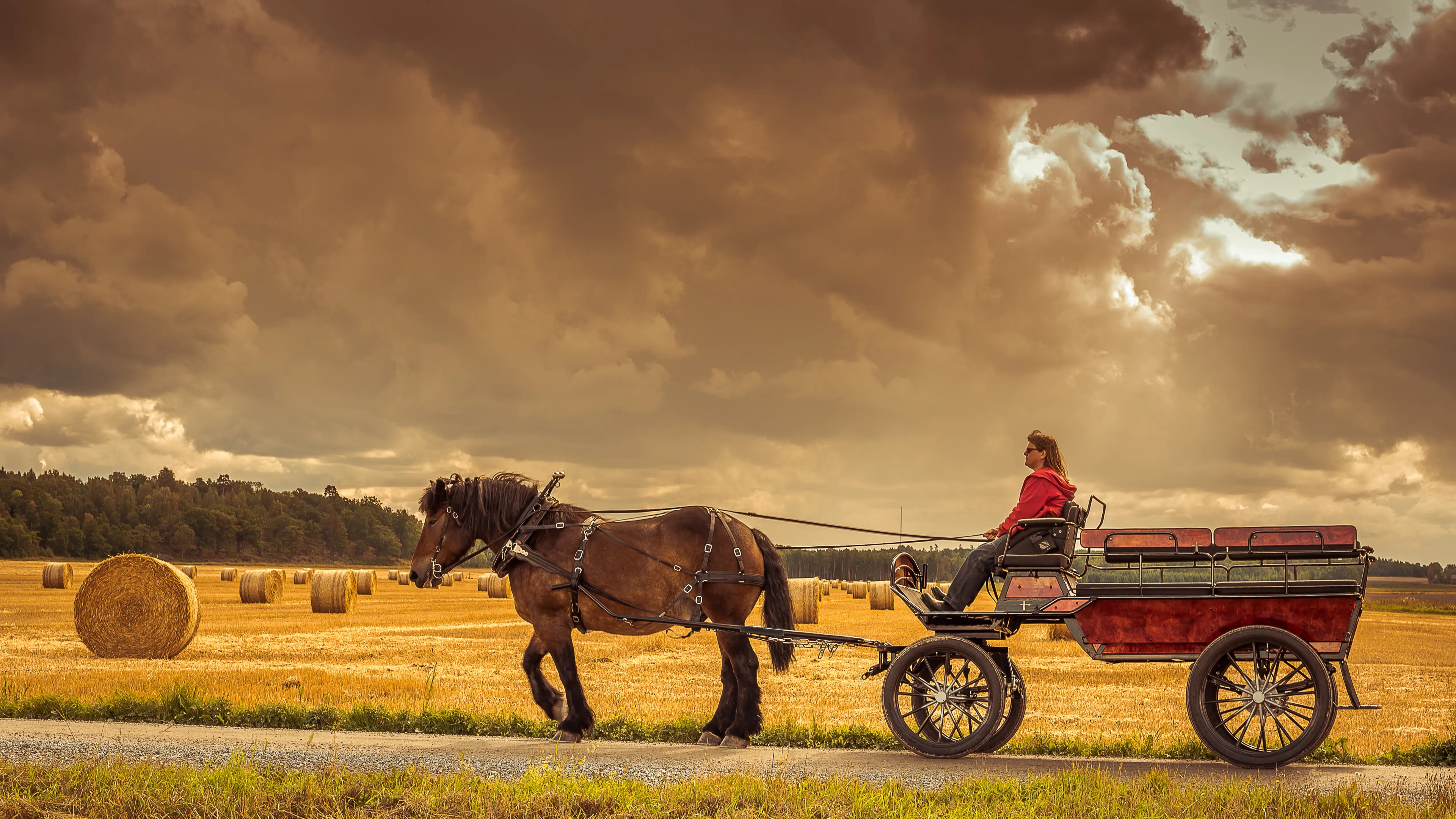 Horse Carriage Hero