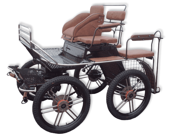 Bryczka sportowa Horse Light para