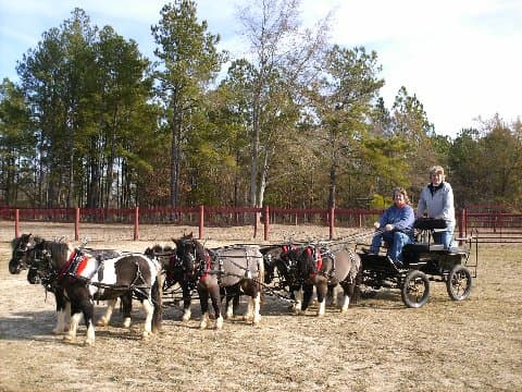 Carriage History