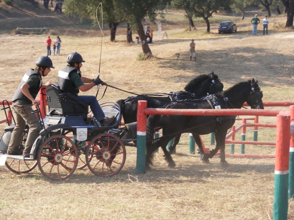 Traditional Carriage