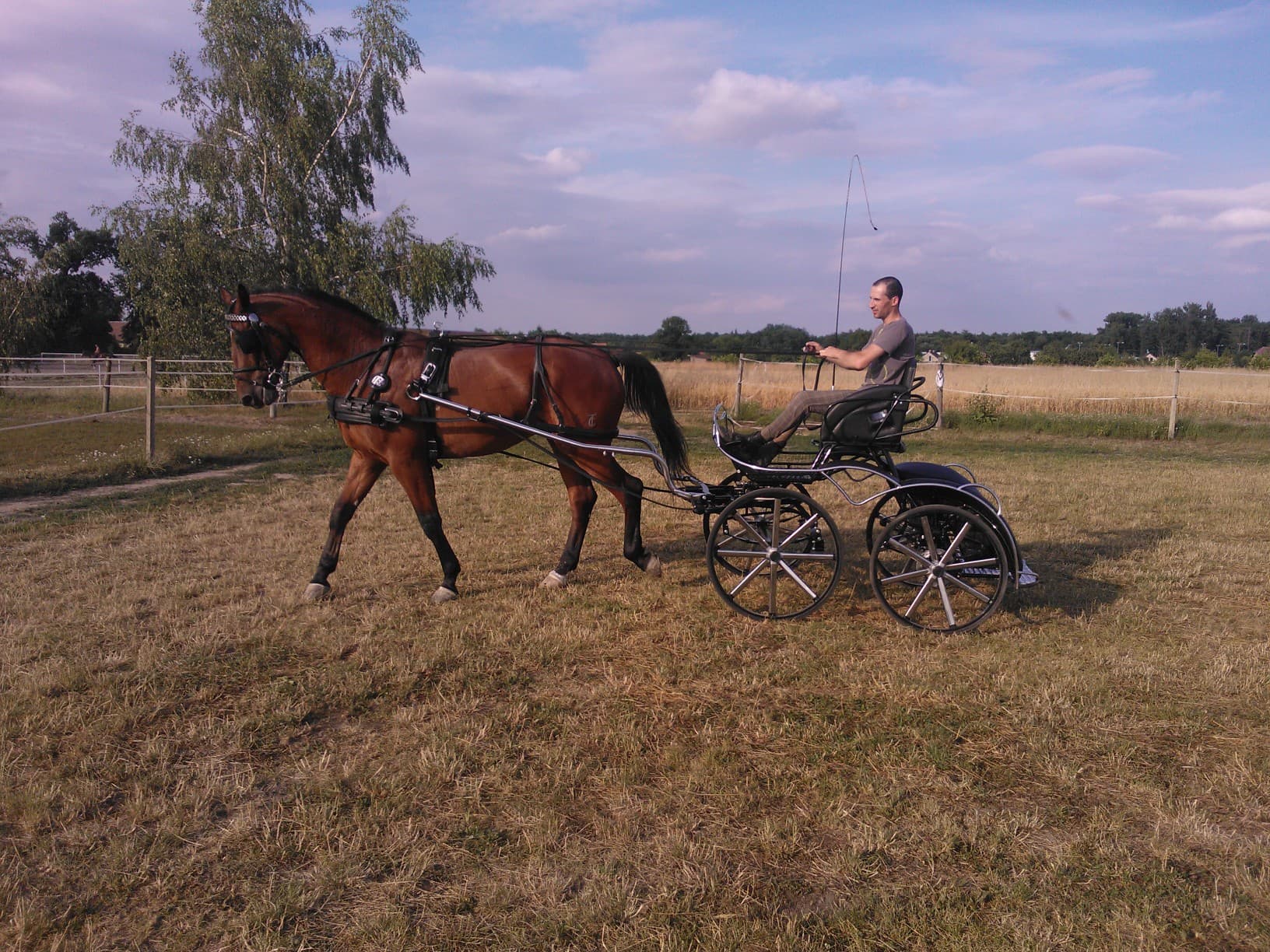 Professional Marathon Carriage