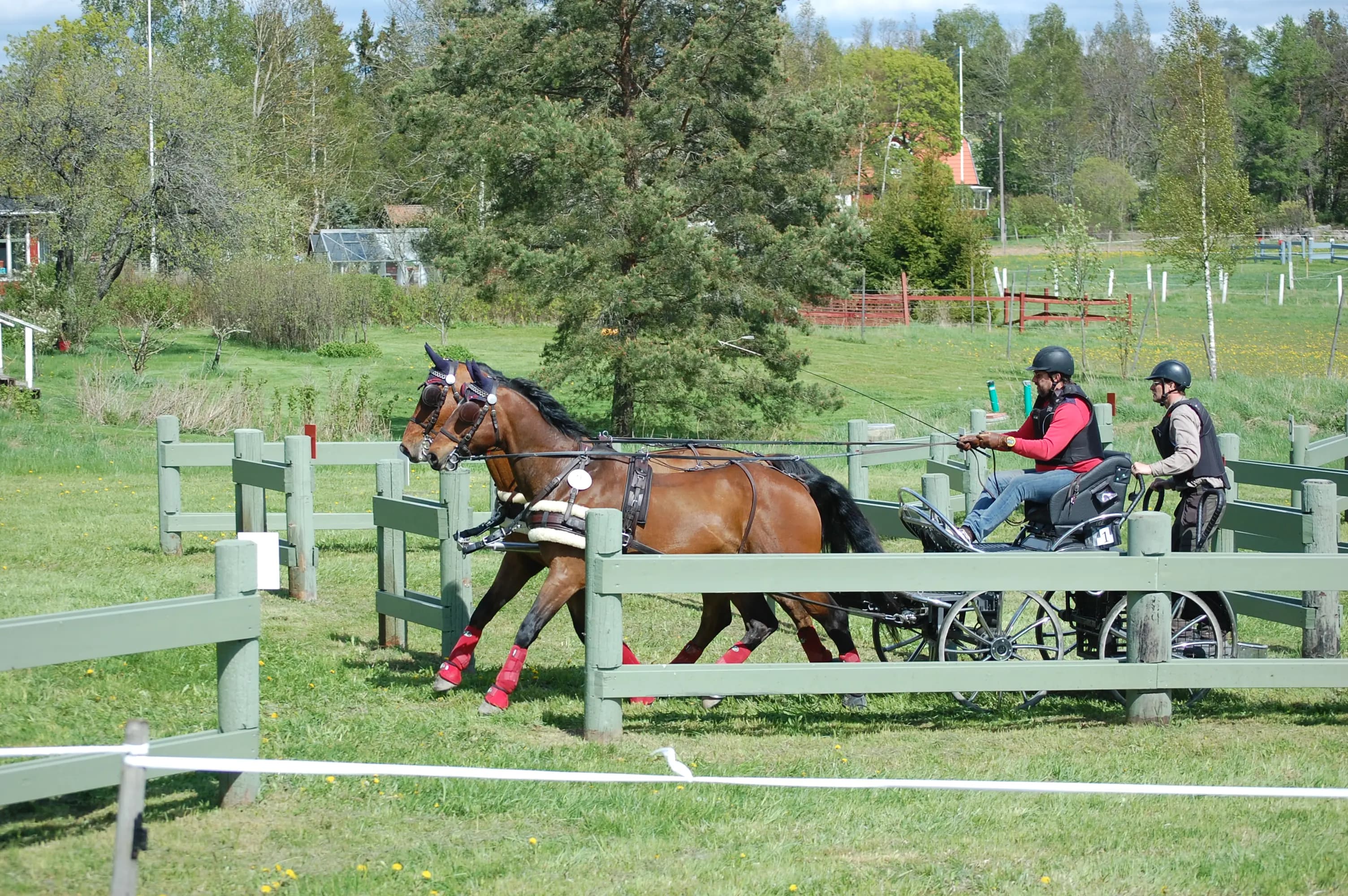 Sport carriage